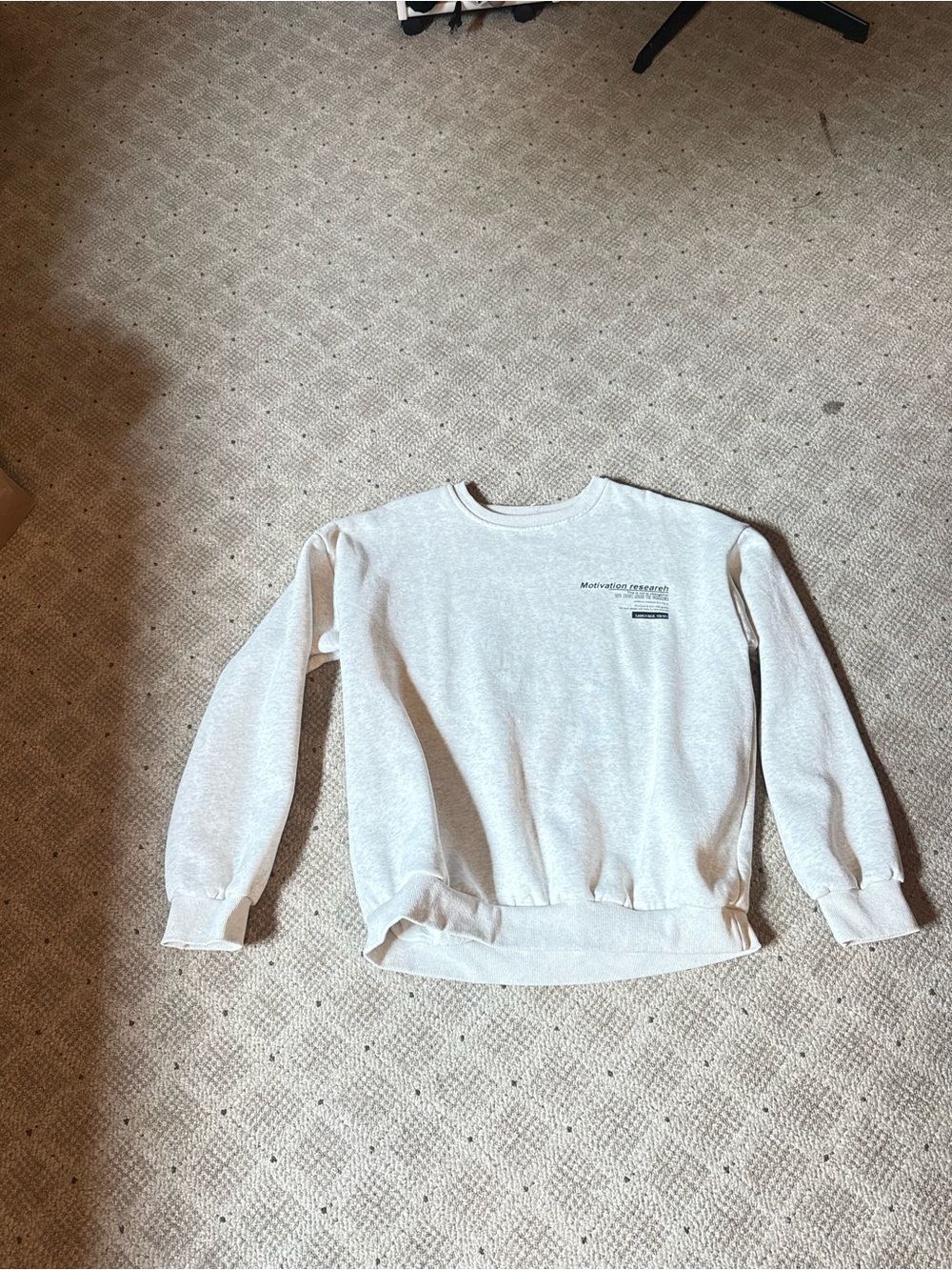 Women’s Crewneck Sweatshirt in Light Heather Gray: motivation research